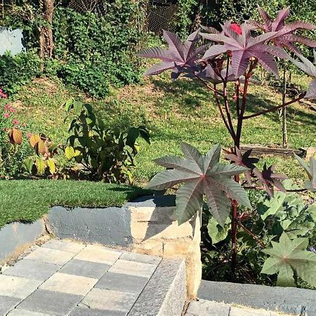 Au Fond Du Jardin Villa Wintzenheim-Kochersberg Buitenkant foto